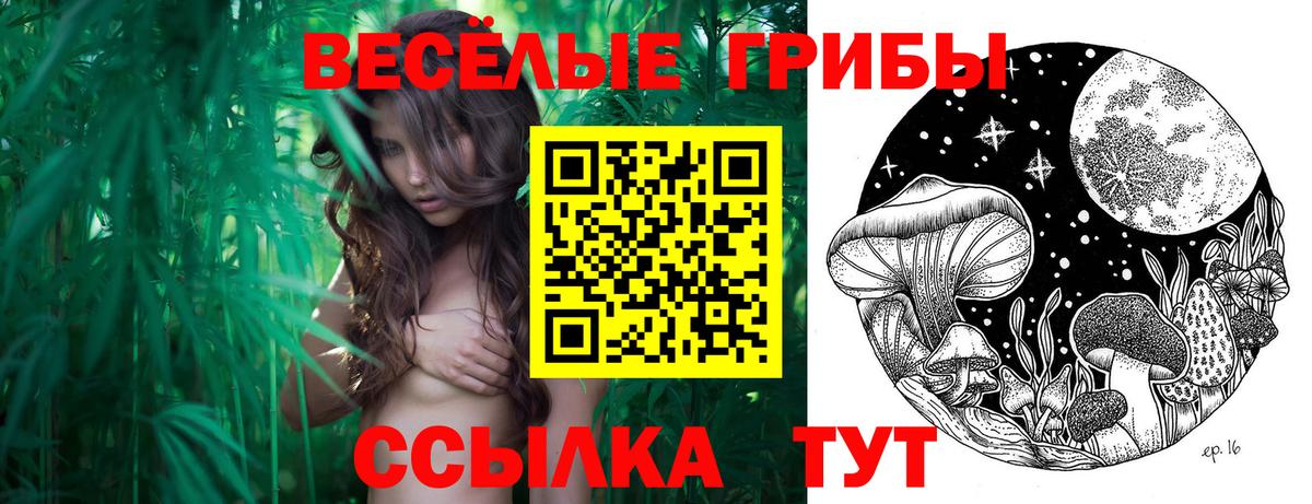 Галлюциногенные грибы MAGIC MUSHROOMS  Вход с VPN  Псилоцибиновые грибы Psilocybe  Пенза 